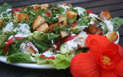 Athena Salad